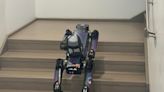 Meet Aurora, Fairbanks International Airport’s robot dog