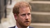 Prince Harry is Enjoying a Close Relationship with This Family Member Amidst Continued Strain with King Charles and Prince William