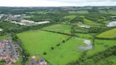 £54,000 secured in just a week to save land around North East nature reserve