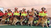Cinco perros ‘bomberos’ se jubilaron en Quito