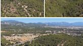 Así será el 'Bosc Metropolità de Palma': un pulmón verde de más de cuatro millones de metros cuadrados