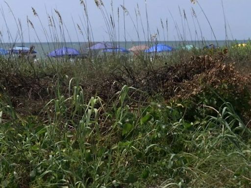 VIDEO: Myrtle Beach crews investigating after dunes fire