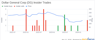 Director Ralph Santana Sells Shares of Dollar General Corp (DG)