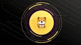 Baby Doge Coin sube un 3% tras lanzarse el Burn Portal