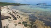 El mar se aleja de la costa en playa de Mahahual previó al impacto del huracán Beryl