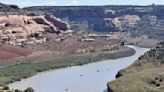 Zebra mussels, which pose ‘extreme risk,’ found in Colorado River near Grand Junction