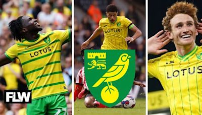 Norwich City can easily avoid damaging triple transfer blow on one condition: View