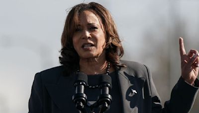 Did Kamala Harris Really Quote The Simpsons During Surprise Appearance At Show's 2024 SDCC ...
