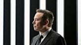 Analysis-Musk tests limits of governance by having children with aide