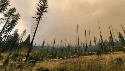 Wildfire Roundup: Fire burning across Oregon, SW Washington