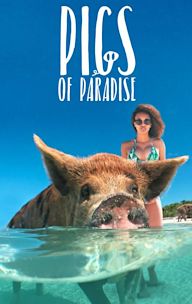 Pigs of Paradise