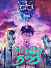 The Wild Boys (film)