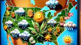 These States Could Go Fully Legal Soon & This Cannabis Company Could Win Big: A Top Stock Pick Trading Below Peers...