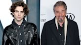 Al Pacino thinks Timothée Chalamet should play him in a Heat prequel film