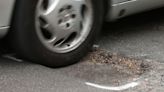 Shortfall in pothole repair budgets hits new high, research shows