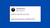 24 Of The Funniest Tweets About Cats And Dogs This Week (April 20-26)