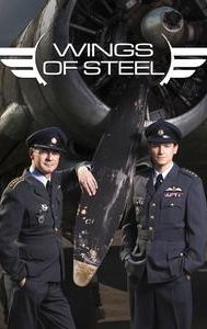 Wings of Steel