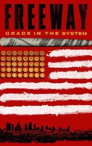 Freeway: Crack in the System