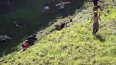 Watch: Daredevils tumble down Cooper’s Hill for annual Gloucester cheese rolling race