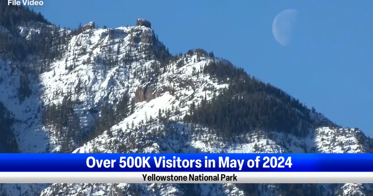 Yellowstone National Park releases visitor stats for May 2024, up 15% from last year