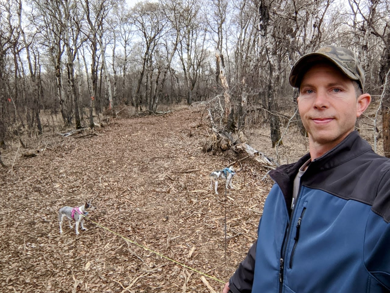 As tick season takes off in Sask., scientists monitor for new disease-carrying species