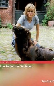 Eine Robbe zum Verlieben