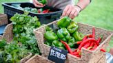 Helping hands: What to know about Centre County’s 2023 Farmers Market Voucher Program