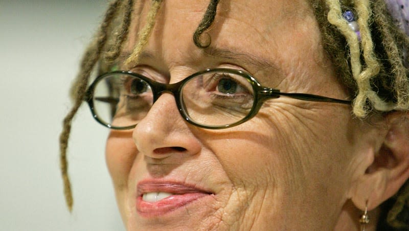 Anne Lamott got a scathing review. A tweet from her son turned it around