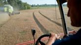 Poland, Slovakia, and Hungary to defy EU and extend ban on Ukrainian grain imports