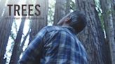 Trees and Other Entanglements Streaming: Watch & Stream Online via HBO Max