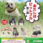 【扭蛋屋】擬真狗狗P2-惡霸犬《全6款》