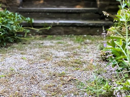 Vinegar doesn’t remove gravel weeds forever but there’s 1 kitchen item that does