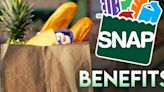 Federal court rules that Missouri wrongly withheld SNAP benefits