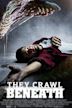Crawlers – Angriff der Killerwürmer