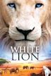 White Lion