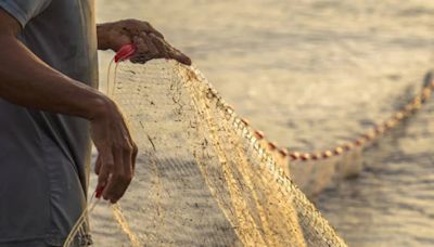 Sociedad Nacional de Pesca Artesanal denuncia ingreso de más de 240 barcos chinos sin control en puertos peruanos