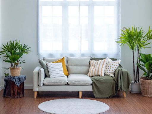 9 Easiest Houseplants to Keep Alive, According to Experts