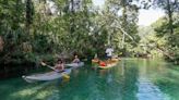 The damage that boat propellers do to Weeki Wachee | Letters