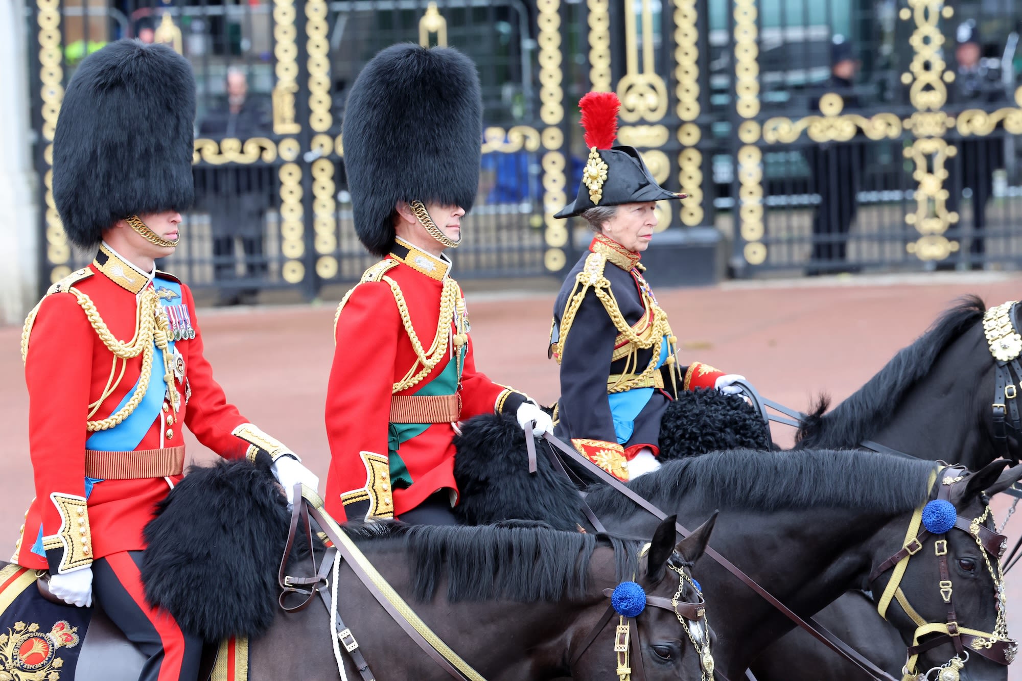 Princess Anne Appears to Have Trouble With Her Horse at 2024 Trooping the Colour