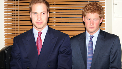 Prince William Is "A Bit Envious" of Prince Harry's Lifestyle, Sources Claim