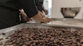 Cocoa Extends Slide From Record as Traders Flee Troubled Market