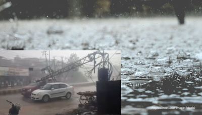 Watch: Electric pole falls on moving car amid heavy rain in Rajasthan, passengers escape unhurt