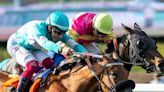 Laulne, Alluring Rematched In Senorita On Santa Anita's Hillside Turf Course