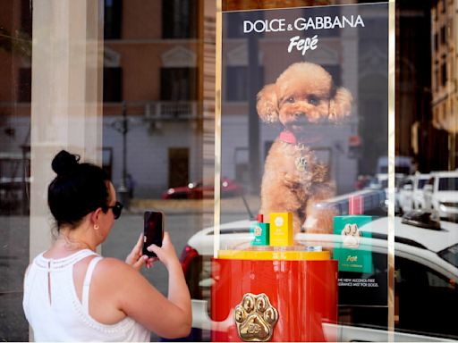 Dolce & Gabbana launches a new perfume for dogs, but some vets and pet-owners are skeptical