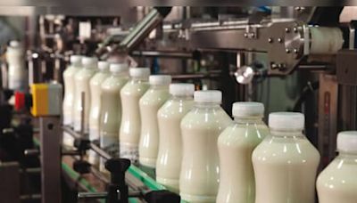 Dodla Dairy Q1 Results: Stock jumps 16% after profit nearly doubles, margin expands by 400 bps - CNBC TV18