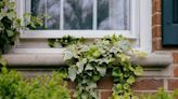 Simple three-step method to 'destroy ivy altogether' and get it out of your garden