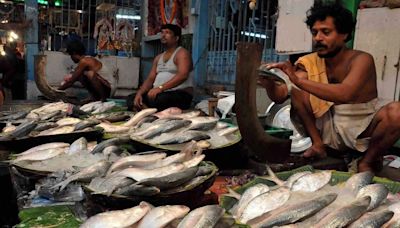 No Ilish In This Year’s Durga Puja Platter? Up-Hilsa Struggle For Bengalis, Traders Amid Bangladesh Crisis - News18