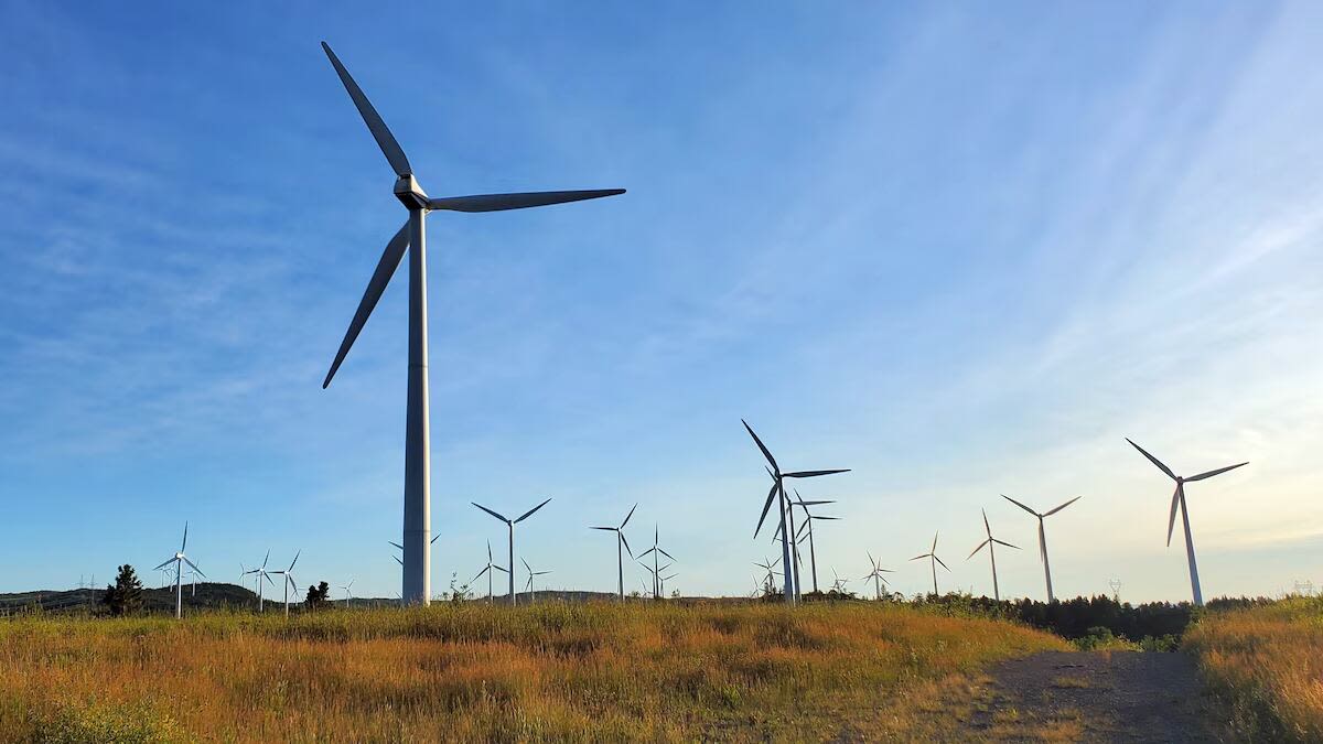 Hydro-Québec will develop large-scale wind farms to meet growing energy demand