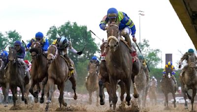 2024 Kentucky Derby predictions, horses, odds, contenders: Surprising picks from top horse racing insider