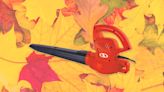 The 'little but mighty' leaf blower adored by 23,000+ shoppers is on sale for $18